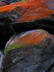 abstractone.jpg