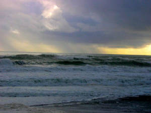 beachatbarrytown.jpg