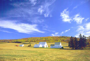 farmland.jpg