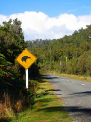 roadtookaritowestland.jpg