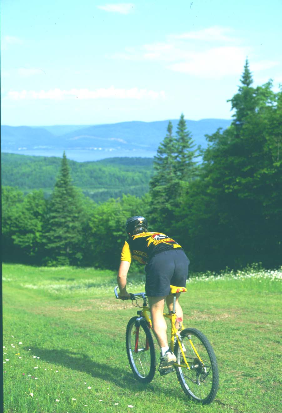 mountainbike.jpg